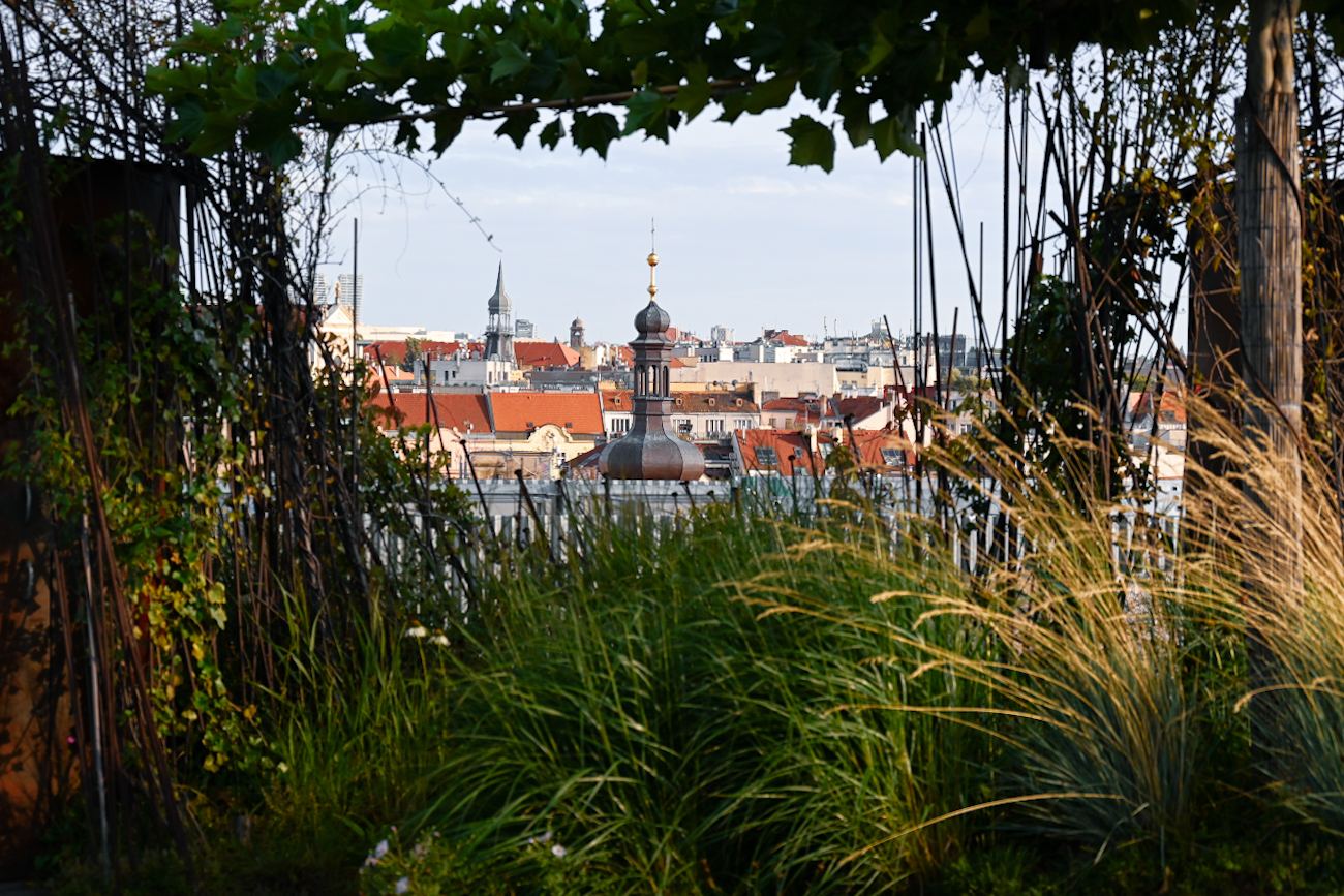 LUCIE FALTÝNKOVÁ - Pražský průhled