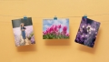 Tisk fotek on-line? Objednejte si ho přímo ze Zoner Photo Studia X