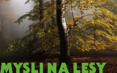 VYHRAJ FOŤÁK A MNOHO DALŠÍCH CEN!