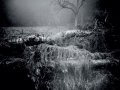 Roman Szpuk – CAMERA OBSCURA