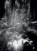 Roman Szpuk – CAMERA OBSCURA