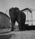 283-57x52-1.jpg