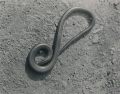 320-55x70-1.jpg
