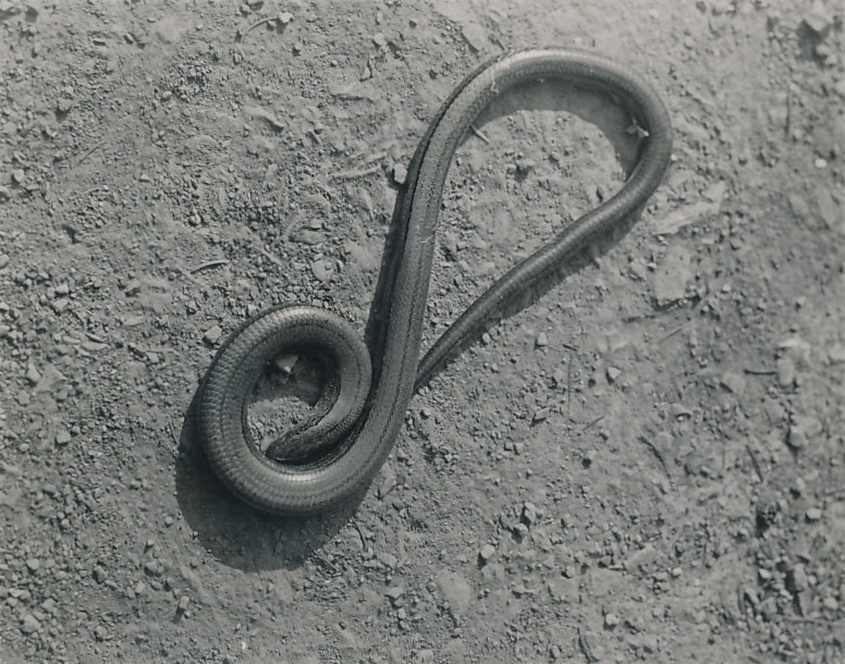 320-55x70-1.jpg