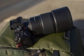 1060w-af-135mm-f1.8-fe-lifestyle-alyssa-zalabai-(3).jpg