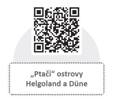 Objevujte svět na fotoexpedicích