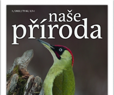 napr-01-22.jpg