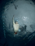 -majda-pavlekovic,-croatia,-winner,-national-awards,-sony-world-photography-awards-2022.jpg