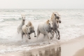 -matjaz-simic,-slovenia,-winner,-national-awards,-sony-world-photography-awards-2022.jpg