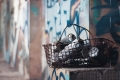 KATEŘINA ŠEDOVÁ - Graffiti