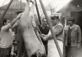 JAROSLAVA JELÍNKOVÁ - Zabijačka