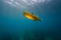 chasing-gladius-mini-s-dsc0917.jpg