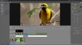 02-video-2022.jpg