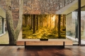 qn900b-lifestyle-02.jpg