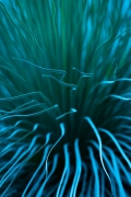 -hv87649rs.jpg