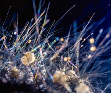 pjj-mineralogie-2021-nikonz7ii-00530-boulangerit-edit.jpg