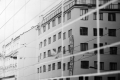 ŠÁRKA KOŠATECKÁ - Poliklinika