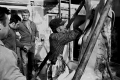 LIBOR HROMÁDKA - Moravská zabíjačka II. Tvrdonice 1974