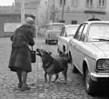MILAN SEDLÁČEK - Setkání