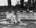 MILAN SEDLÁČEK - vodní příkop