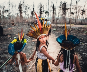 amazonie-a-vy╠upaleny╠u-prales.jpg