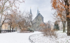 850-8157.jpg