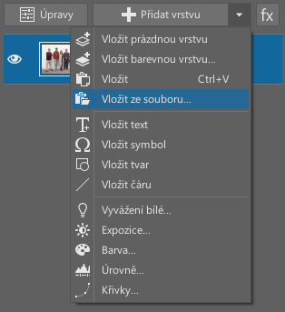 vlozit-ze-souboru.png