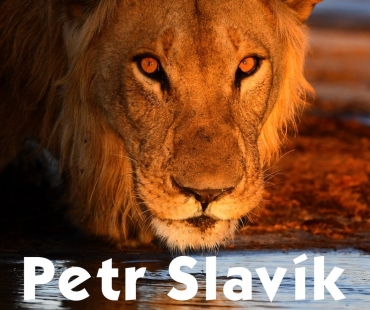 slavik.jpg
