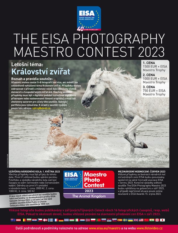 EISA MAESTRO Horse