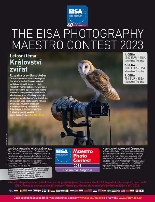 EISA MAESTRO Owl