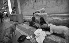 cena-foma-bohemia--josef-parma-na-ulici---psi-pratelstvi.jpg