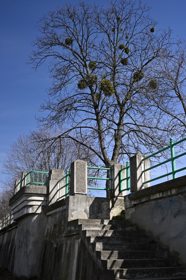 pl2-4846.jpg