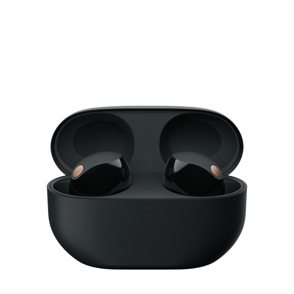 black-scse-case.jpg
