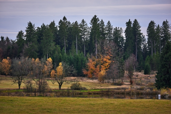 003-recenze-tamron-150-500-mm-f5-6-7-di-iii-vc.jpg