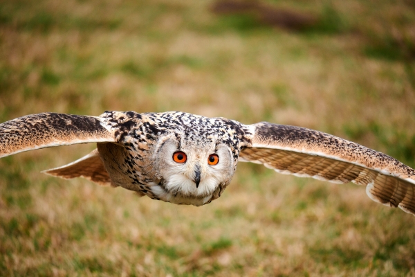 070-recenze-tamron-150-500-mm-f5-6-7-di-iii-vc.jpg