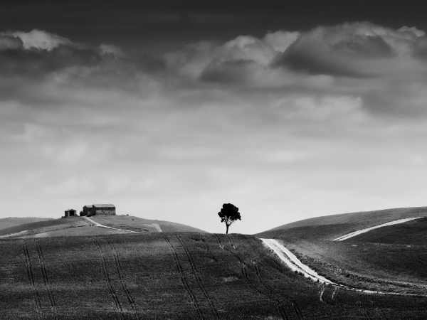 -4100207-bw-velka.jpg