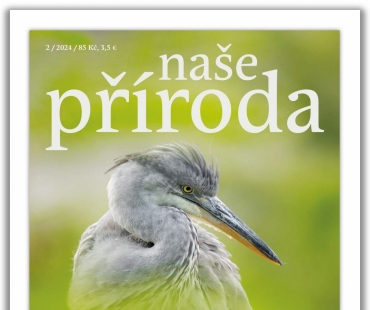 napr-02-24.jpg