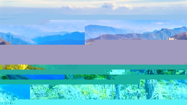 dji-20240119162200-0233-d-edit.jpg
