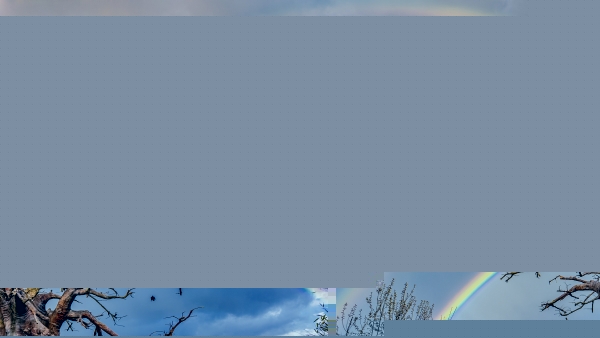 dji-20240315174048-0044-d-edit.jpg