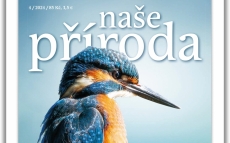 napr-04-24.jpg