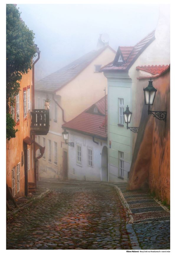 Výstava ČFFU Hášová