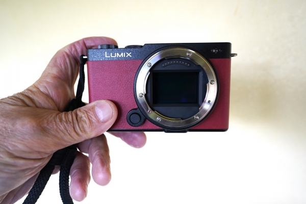 -dsc7397-copy.jpg