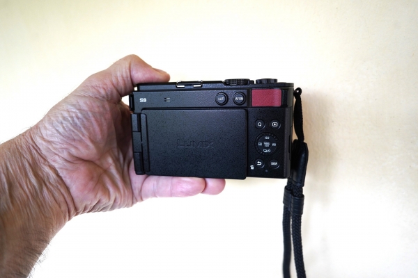 -dsc7406-copy.jpg