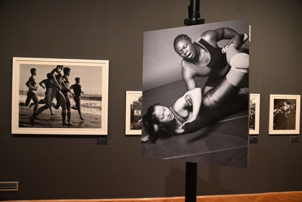 bruceweber-dsc-7732.jpg
