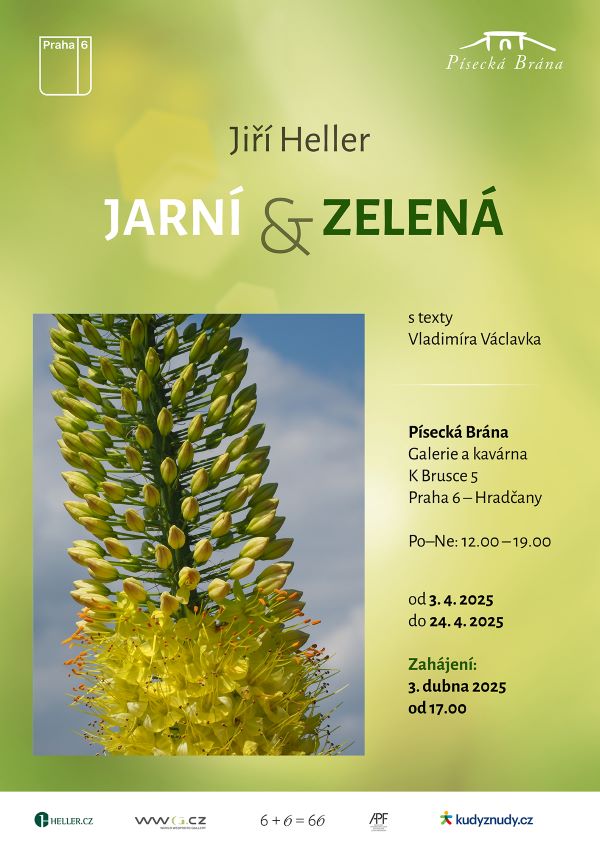 Jiří Heller vystavuje 1