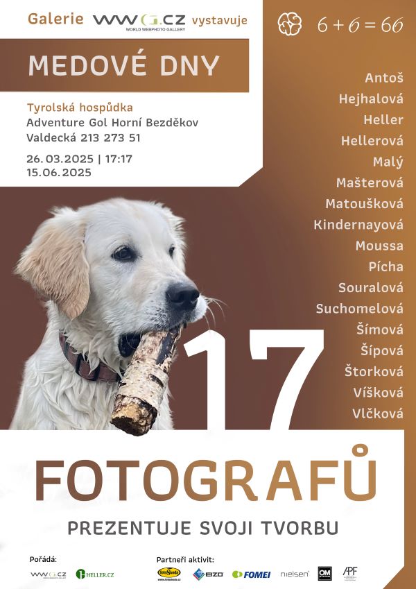 Jiří Heller vystavuje 2