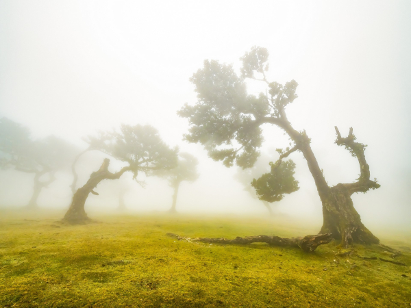 moje-z-fotoexpedice-madeira.jpg