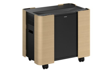 Ocenění pro Epson hl