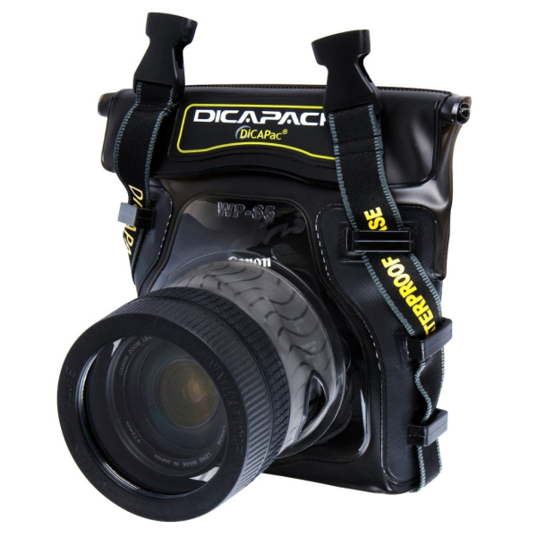 dicapac-wp-s5.jpg