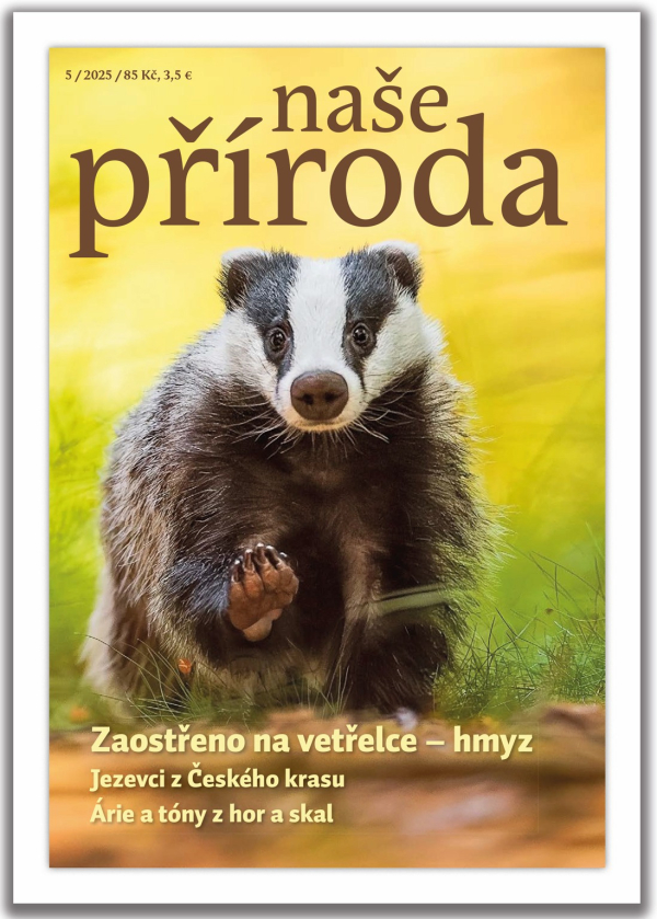 napr-05-25.jpeg napr-05-25.jpeg